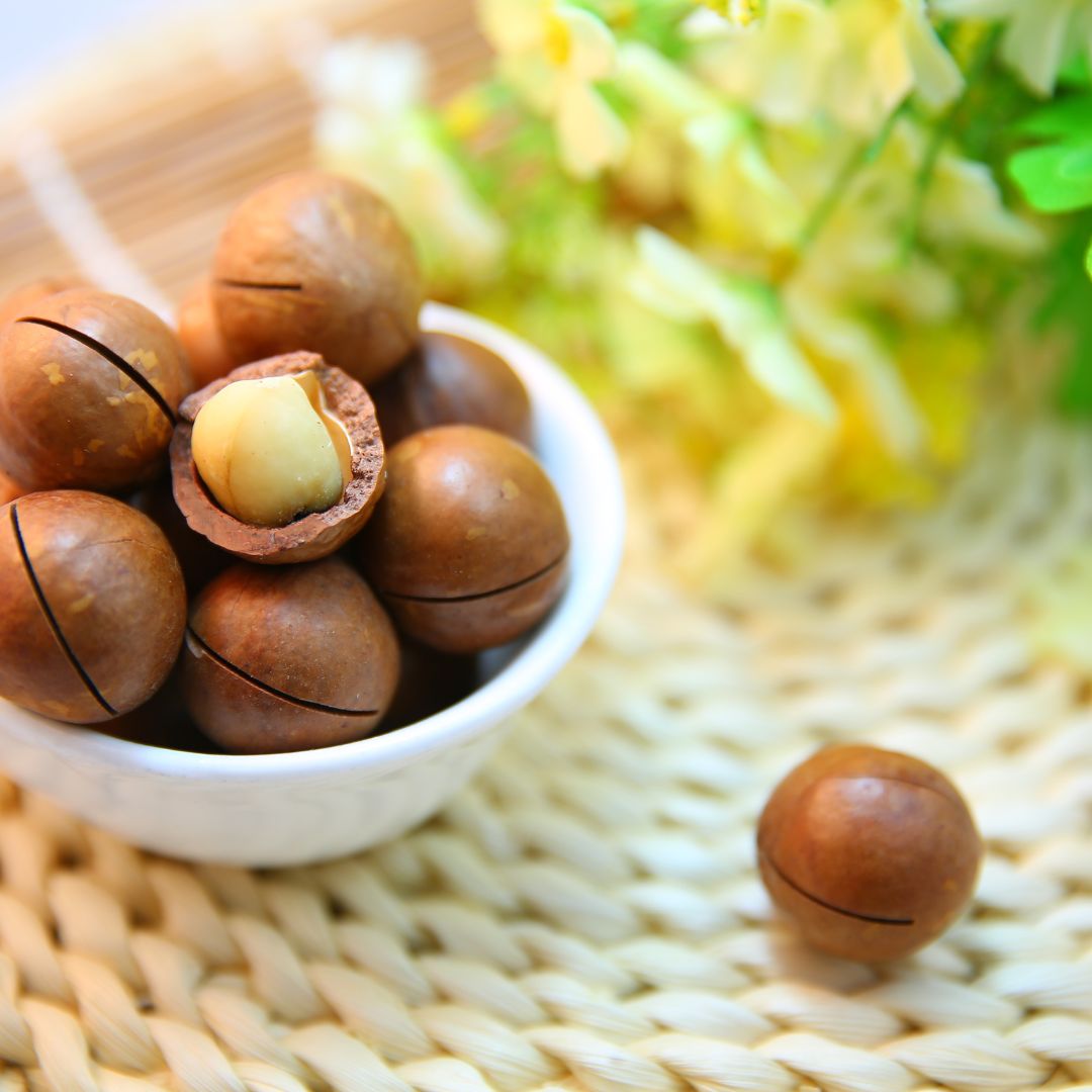 nutlogger erp systems 2